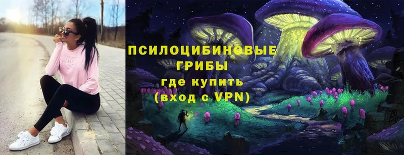 наркошоп  Нефтекамск  Псилоцибиновые грибы мицелий 